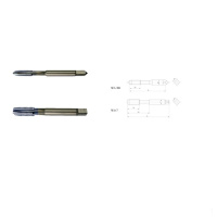 灰铸铁专用直槽丝锥(底锥)DM24*1.0-5HX 灰铸铁专用直槽丝锥(底锥)dm24*1.0-5HX