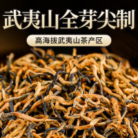 贡苑 茶叶红茶武夷山特级正宗金骏眉520g便携小泡共88包原产新茶功夫正山小种浓香型高档送礼自饮礼盒装