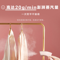 松下(Panasonic)手持挂烫机NI-GHC025P家用挂式迷你小型便携式大功率蒸汽烫衣服 大水箱 新品NI-GHC