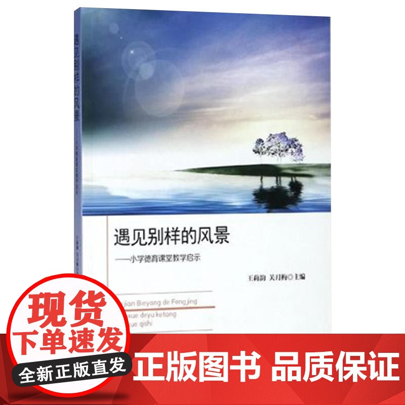 遇见别样的风景 小学德育课堂教学启示 提高德育能力 上海教育出版社高清大图