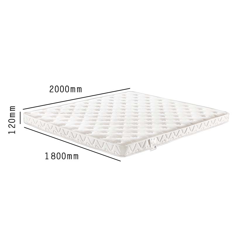 鑫升顺压缩卷包床垫席梦思独立弹簧天然乳胶超软折叠薄款S1/软硬适中[柔软海绵+独立布袋簧]厚约12cm高清大图