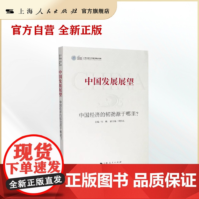 中国发展展望:中国经济的韧劲源于哪里?