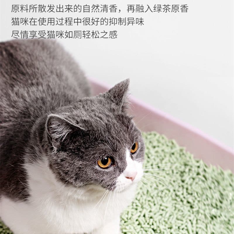 洁客(Drymax)奶香绿茶豆腐猫砂20斤 6L*6无尘吸水奶香快速结团冲厕所猫砂10kg大袋30斤图片