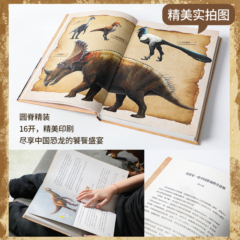 中国恐龙博物馆 [正版]7-10岁中国恐龙博物馆 邢立达 著 国民恐龙百科全书 科普百科 中国恐龙故事 恐龙复原图 古生高清大图