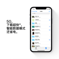 [全新原装正品]Apple 苹果 iPhone 12 64G 黑色 移动联通电信5G全网通手机 美版 有锁裸机