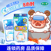 健之佳退热贴(儿童成人用)2袋*2贴