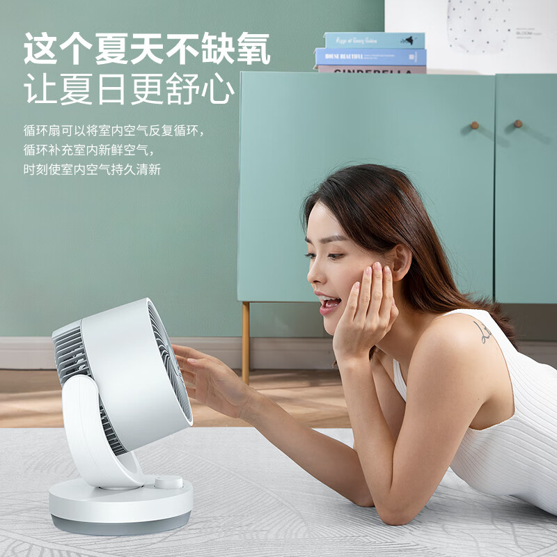 艾美特(AIRMATE)空气循环扇家用节能小型落地电风扇四季循环对流换气桌面小风扇大风量宿舍台式摇头轻音电扇 X28高清大图