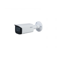 大华（alhua）400万像素红外变焦枪型网络摄像机 DH-IPC-HFW3433AHKD-LA(单位：个)