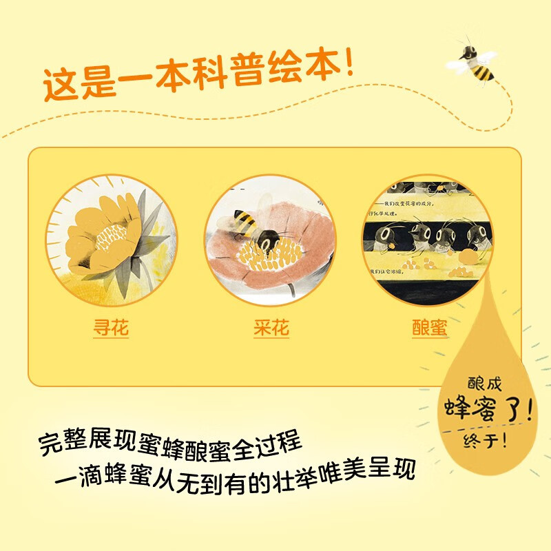 看,蜜蜂! [正版]获奖绘本看蜜蜂硬壳精装生动展现蜜蜂酿蜜全过程3-4-6岁儿童图画书幼儿宝宝睡前故事亲子教育启蒙儿童故