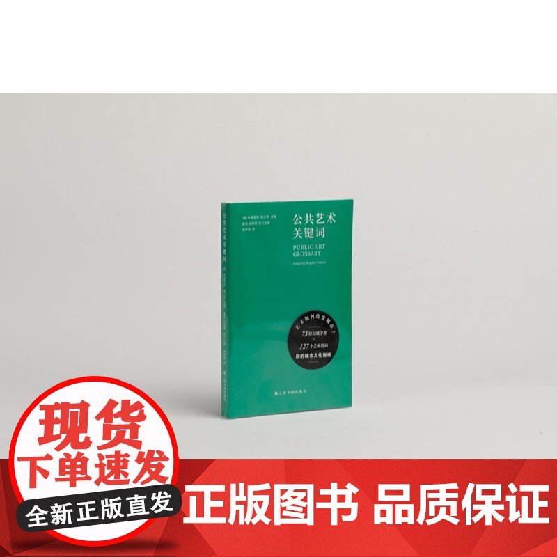 公共艺术关键词 布丽奇特弗兰岑主编姜俊张钟萄执行主编上海书画出版社理解公共艺术与城市文化重要读本艺术指南高清大图