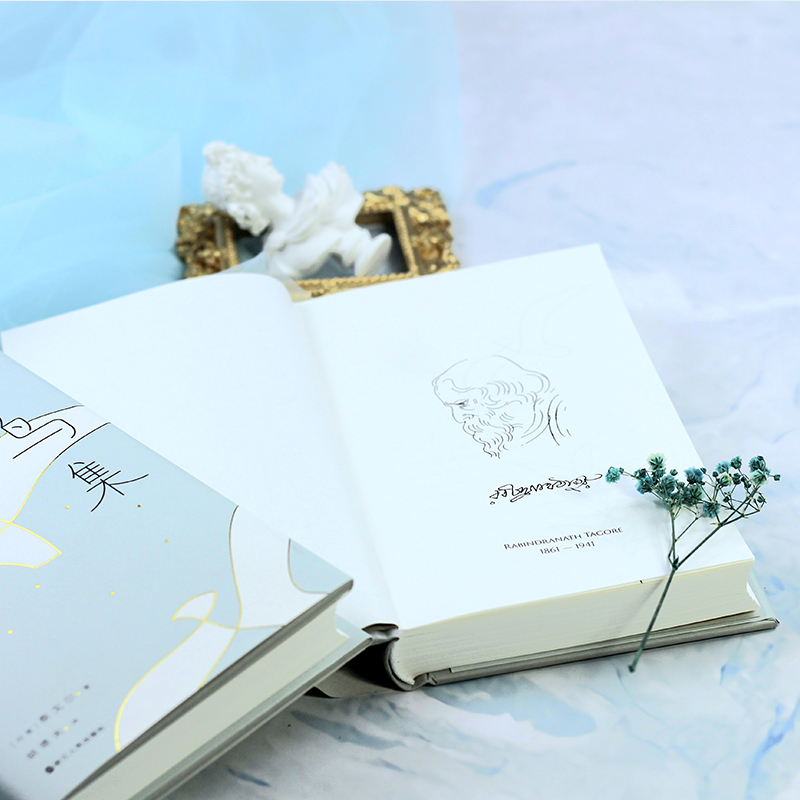 [正版]飞鸟集 2023 精装典藏版 大冰 民谣之父胡德夫深情新译 中小学生丛书 中英对照全译本 图书书籍高清大图