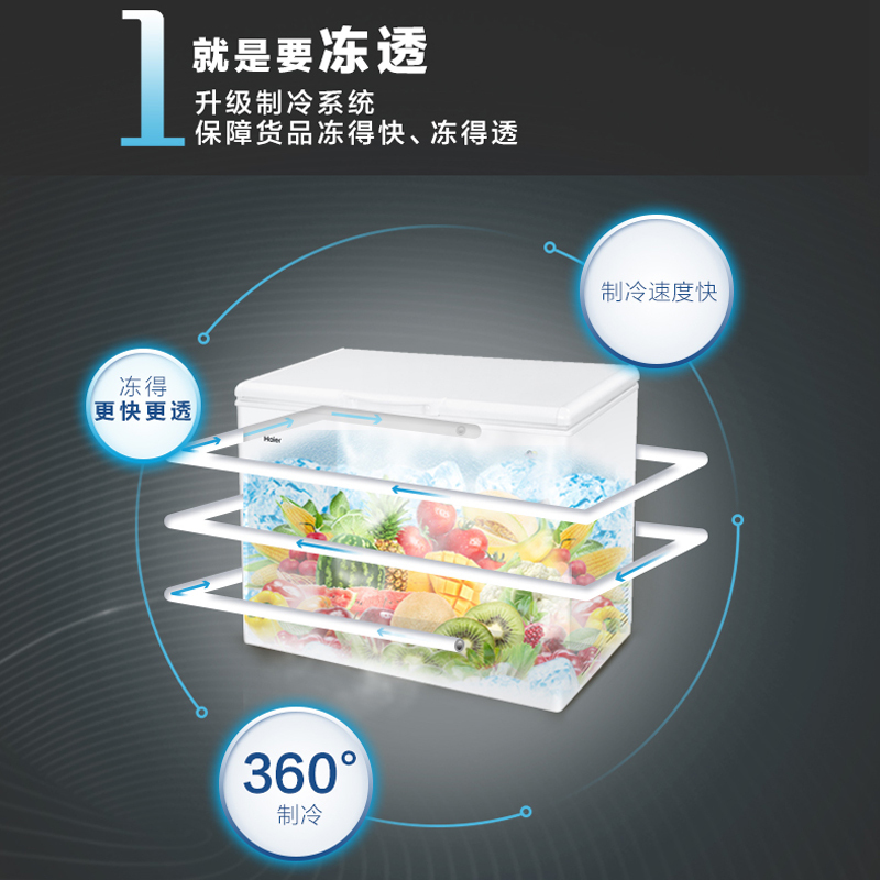 海尔(Haier) BC/BD-315HDB 商用卧式冰箱冷柜 冷藏冷冻转换冰柜 315升