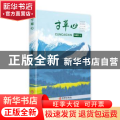 寸草心
