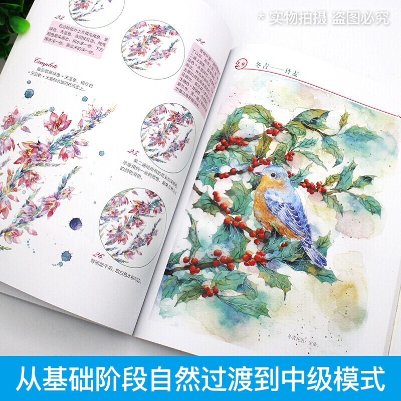 [醉染正版]正版 6册漫画技法从入门到精通+水彩画完全自学教程秘密花园+漫画入门速成手册等漫画零基础初自学入门教程材书籍高清大图