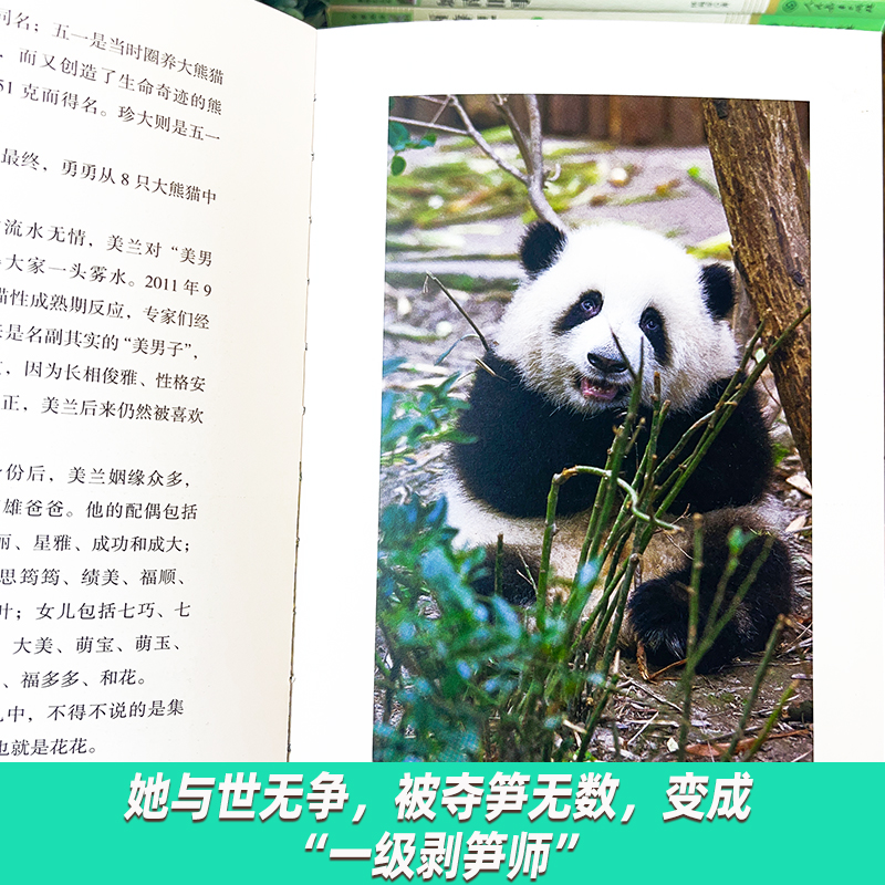 [正版]赠书签+明信片熊猫花花 蒋林书写熊猫花花的家族和花花成长历程附有丰富的熊猫知识科普大熊猫的生物学特点和生活习性高清大图