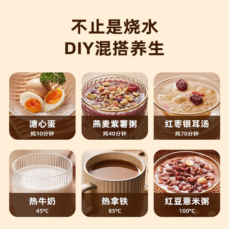 泰瑞达(TER)电炖杯养生杯小型便携烧水杯办公室神器煮粥热牛奶加热杯迷你