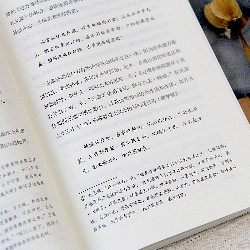 [正版]共6册杜甫白居易李商隐苏东坡陶渊明王维传唐宋诗人词人才子传记中国古代文学大家诗圣诗魔苏轼历史人物传记书籍高清大图