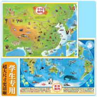 2张中国地图世界地图中小学生地理知识学习图学生地理课外书挂图 如图