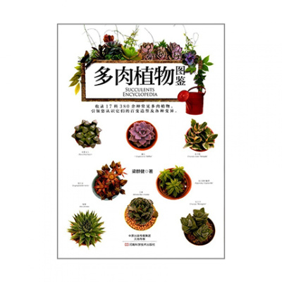 多肉植物图鉴河南科学技术出版社梁群健肉种植多肉养殖书籍养护多肉植物组合盆栽制作栽培技术入新 785 梁群健著 摘要书评在线阅读 苏宁易购图书