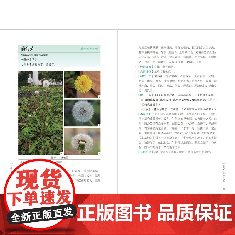 [店]本草观察手账 中草药本草 观察手账 记录笔记 本草博物文高清大图