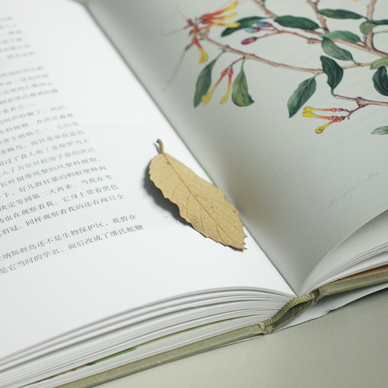 [友一个正版] 森林之花 玛格丽特米 精装典藏版植物学笔记科普百科经典图文书图谱 植物花卉大全森林探险之旅收藏鉴赏艺术高清大图