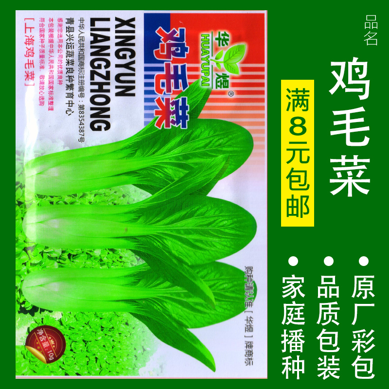 蔬菜种子四季播盆栽番茄黄瓜辣椒西瓜籽孑大全罗卜蕃茄苏州青黄心 鸡毛菜约800粒 均码