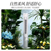 先锋(SINGFUN)塔扇电风扇家用落地定时无叶风扇柔风摇头机械立式风扇DTS-G17