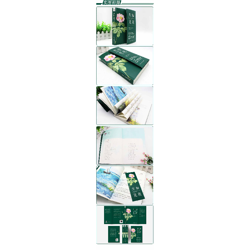 正版新书]生如夏花无9787513929844高清大图