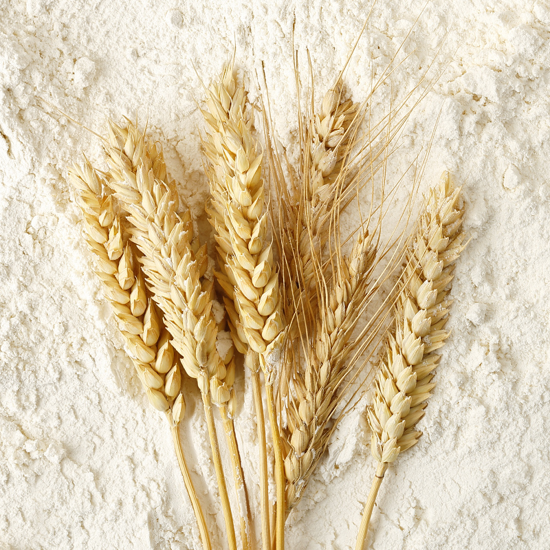 鲁花福花(熊猫)多用途活性小麦粉2.5kg家用小麦饺子面粉 饺子面条馒头包子烙饼面食通用 多用途面粉5斤装 高筋面粉