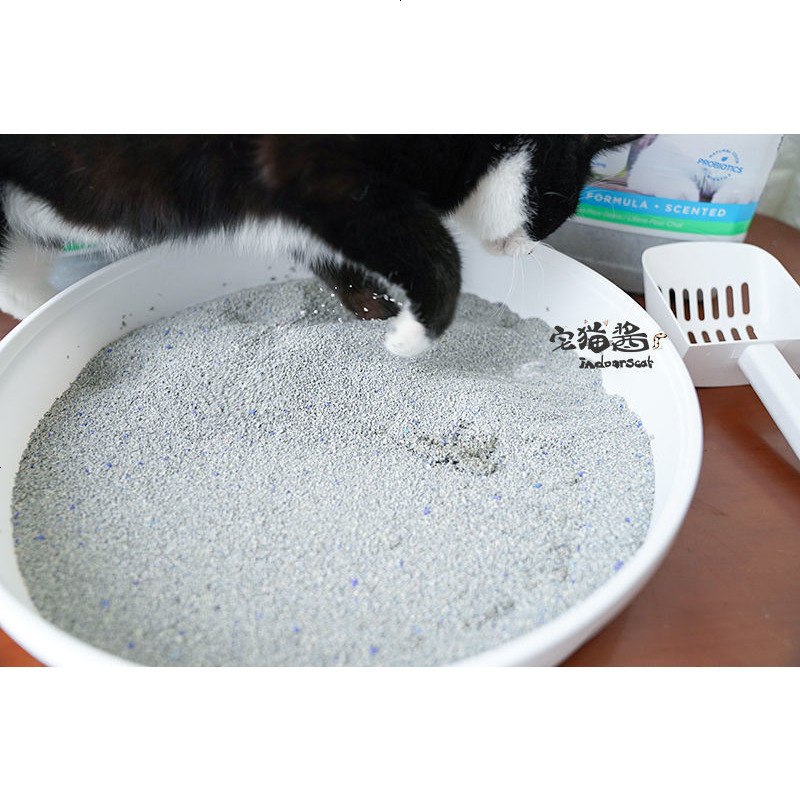 宅猫酱 Cat Magic膨润土猫砂 香型结团去臭猫咪厕所砂 21磅