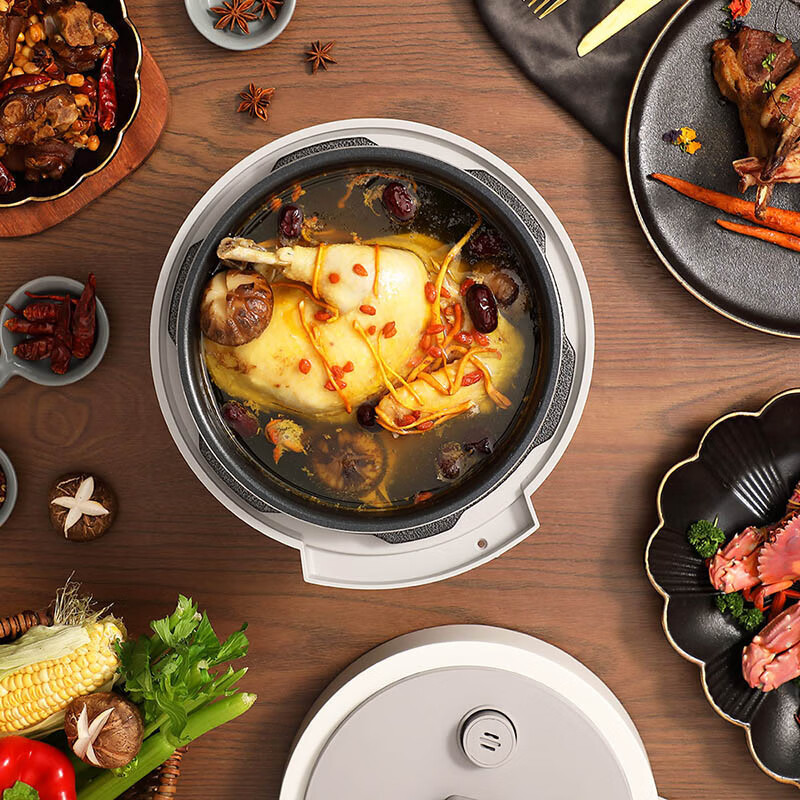 大宇(DAEWOO) DYYL-4027 电压力锅 4L(单位:个)星云白高清大图