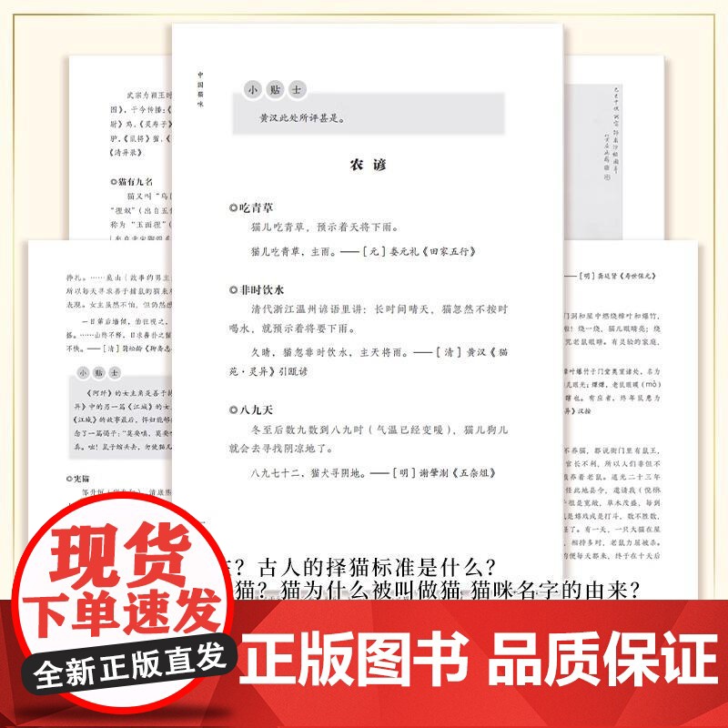 [央视网]中国猫咪 古代人猫咪百科全书爱猫更要懂猫养猫习俗猫咪的名字宠物猫咪日常小知识大全猫咪历史文化WX高清大图