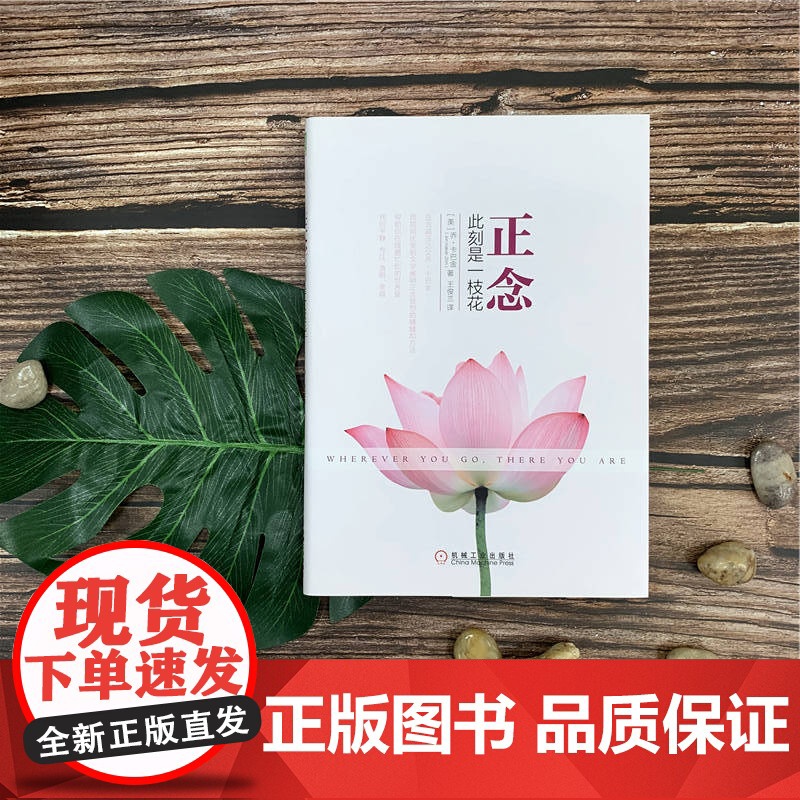 套装 正念 此刻是一枝花+正念之道 套装全2册 乔卡巴金 心理学 阐明正念冥想精髓人生哲学通俗读物 正知正念正能量 机械高清大图