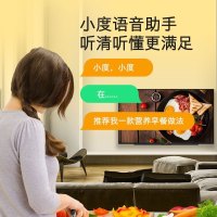 创维(SKYWORTH) 65A4 65英寸AIoT电视声控远场语音智慧全面屏4K超高清液晶平板电视机