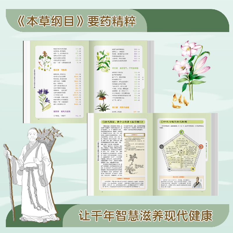 正版新书]《本草纲目》要药古今图文合解杨勇 著9787518618859高清大图