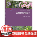 香料植物资源学 王有江 刘海涛主编 9787040439809 香料植物、香料植物文化、香料植物功能、香料植物资源经济物