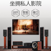 山水(SANSUI) F5 家庭影院5.1音响组合套装家用电视卡拉OK音响 支持解码功放 10寸低音炮
