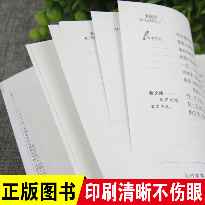 在人间 [正版]阿Q正传鲁迅经典原著 鲁迅的书 青少年初高中生课外阅读文学经典阅读书籍现当代名著 讲述中国国民的灵魂 故