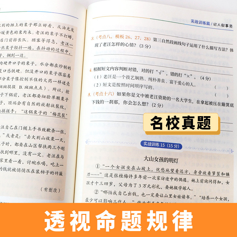 28个核心考点吃透小学[语文阅读] 小学通用 [正版]2024天天向上28个核心考点吃透小学语文阅读一二三四五六年级上下