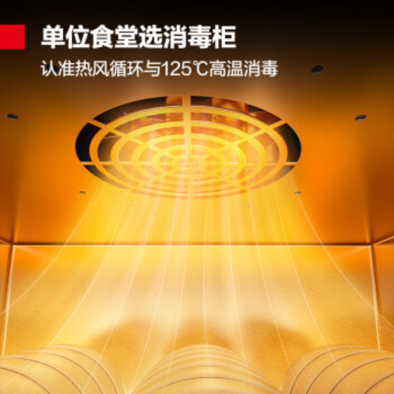 德玛仕(DEMASHI)商用消毒柜热风循环 不锈钢立式高温双开门 单位厨房餐厅食堂用大容量 消毒碗柜XDR650-D2F