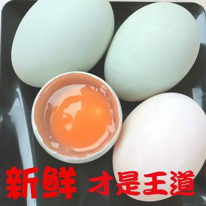 正宗20枚土鸭蛋农家散养新鲜生草鸭蛋野生水鸭青绿皮壳鲜鸭蛋鸭蛋新鲜生土农村家散放养青壳草麻绿皮笨非双黄水野大个正宗