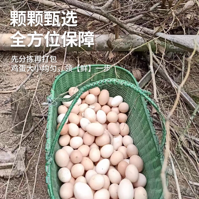 鸡蛋 袋装500g高清大图