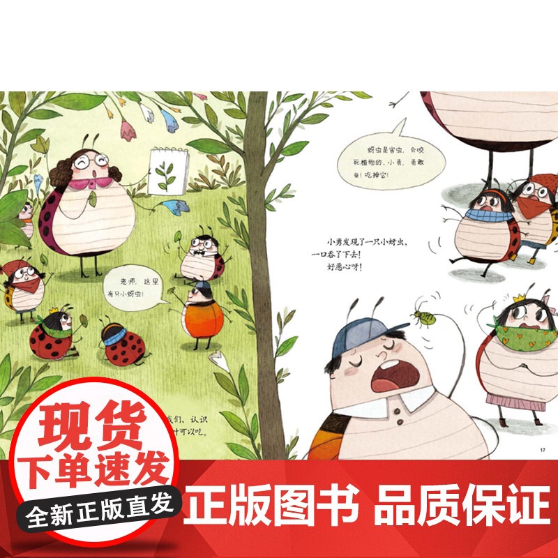 我的日记系列:瓢虫的日记精装绘本图画书3岁以上亲子共读正版童书高清大图