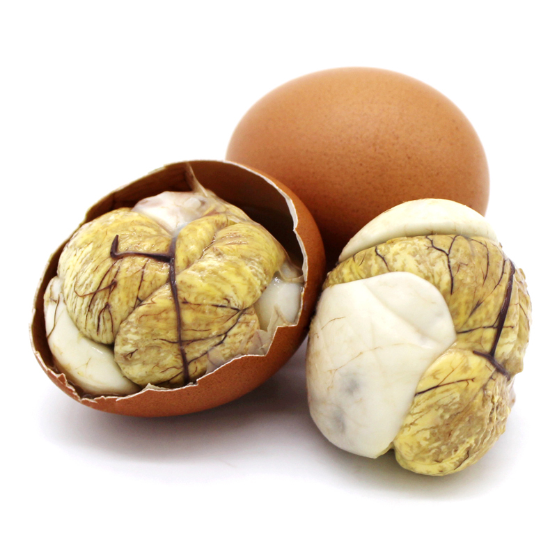 新鲜13天活珠子10枚鸡胚蛋开袋即食熟凤凰蛋钢化蛋毛蛋