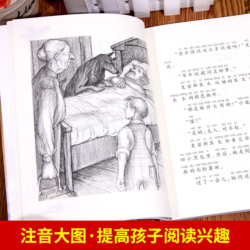 石狐 [正版]石狐注音版新蕾出版社一年级二年级三年级上册下册通用天津出版传媒集团国际大奖小说儿童小学生版课外书高清大图