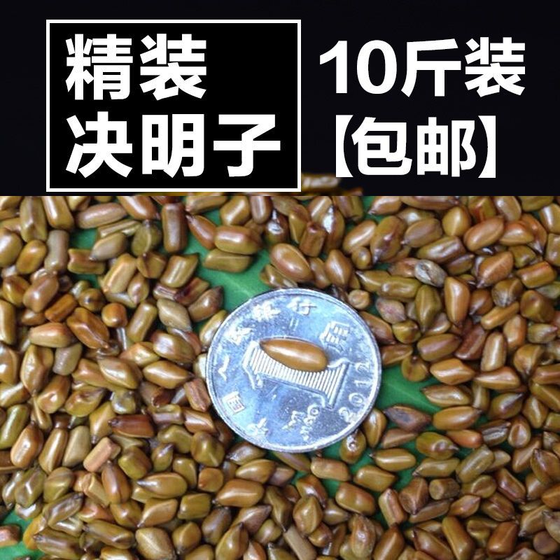 [促销]决明子玩具沙池套装批散装儿童沙子游乐场沙滩