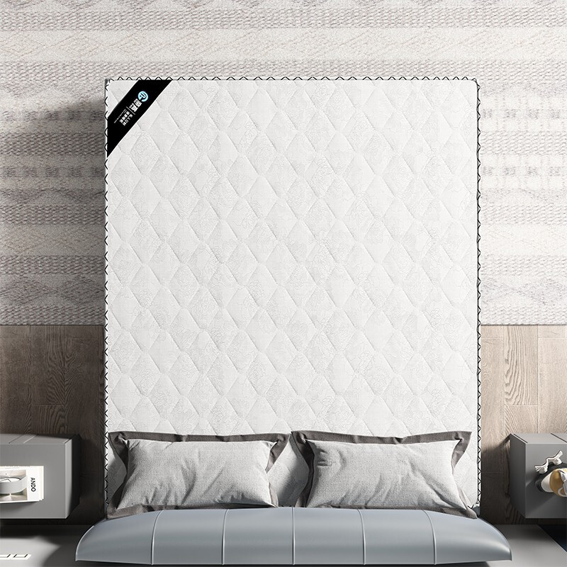 域赢椰棕床垫宿舍学生单人床垫上下铺公寓寝室学校棕榈垫1900*900*50高清大图