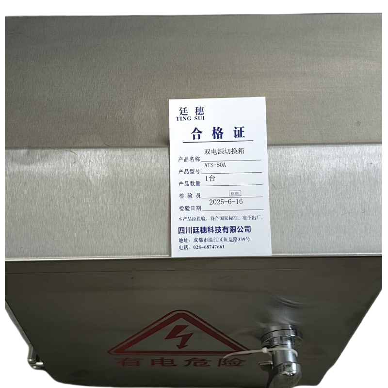 廷穗(TINGSUI)双电源切换箱 ATS-80A 台高清大图