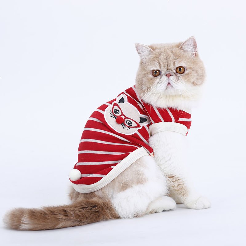 猫咪衣服小猫衣服宠物猫衣服猫服饰英短猫衣服加菲猫衣服奶猫衣服