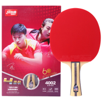 红双喜DHS乒乓球成品拍R系列R4006新款T4006双面反胶 直拍短柄 弧圈结合快攻单拍装 新款T4002横拍长柄